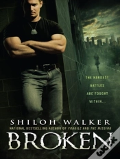 Capa do artigo Broken