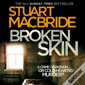 Capa do artigo Broken Skin