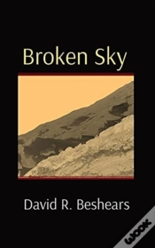 Capa do artigo Broken Sky