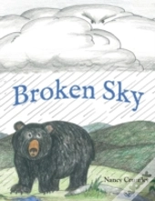 Broken Sky