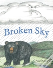 Capa do artigo Broken Sky