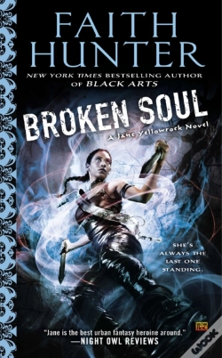 Capa do artigo Broken Soul