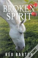 Broken Spirit