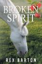 Broken Spirit - Preview