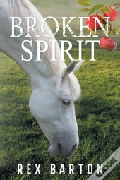 Broken Spirit