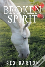 Capa do artigo Broken Spirit