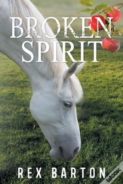 Capa do artigo Broken Spirit