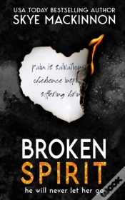 Capa do artigo Broken Spirit