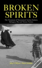Capa do artigo Broken Spirits
