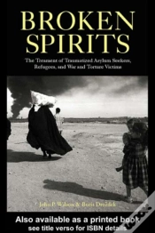 Capa do artigo Broken Spirits