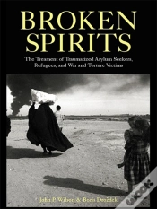 Capa do artigo Broken Spirits