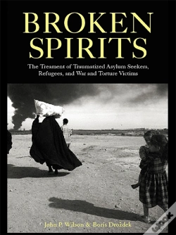 Capa do artigo Broken Spirits