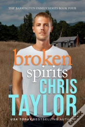 Capa do artigo Broken Spirits