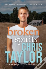 Capa do artigo Broken Spirits