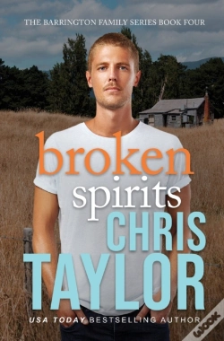Capa do artigo Broken Spirits