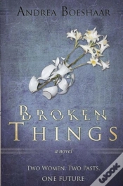 Capa do artigo Broken Things