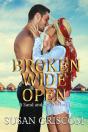 Broken Wide Open - Preview