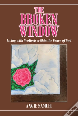Capa do artigo Broken Window