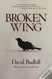 Capa do artigo Broken Wing