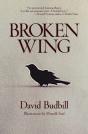Broken Wing - Preview