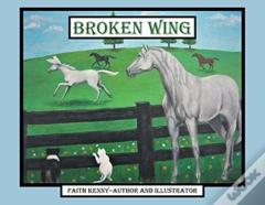 Broken Wing