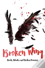 Capa do artigo Broken Wing