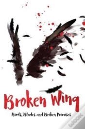 Capa do artigo Broken Wing