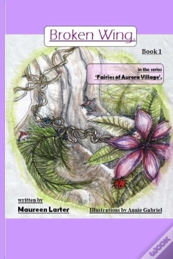 Capa do artigo Broken Wing