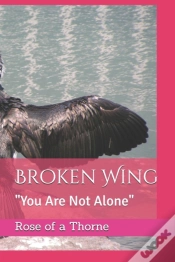 Capa do artigo Broken Wing