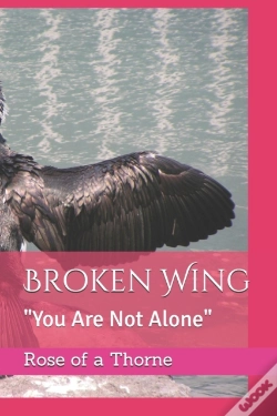 Capa do artigo Broken Wing