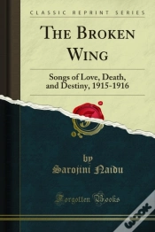 Capa do artigo Broken Wing