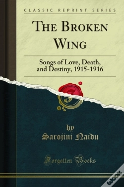Capa do artigo Broken Wing