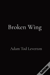 Capa do artigo Broken Wing