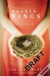 Capa do artigo Broken Wings
