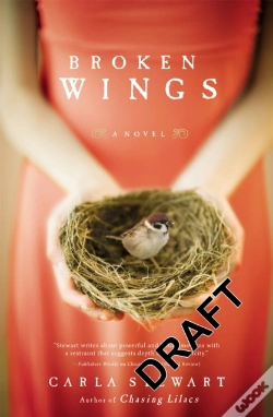 Capa do artigo Broken Wings