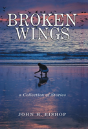Broken Wings - Preview