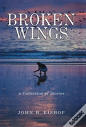Capa do artigo Broken Wings