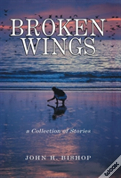 Capa do artigo Broken Wings