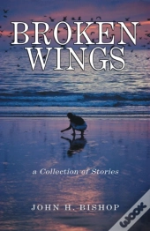 Broken Wings