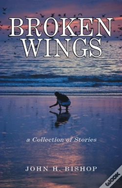 Capa do artigo Broken Wings