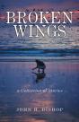 Broken Wings - Preview