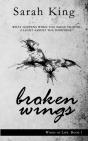 Broken Wings - Preview