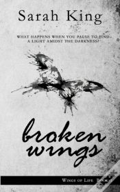 Capa do artigo Broken Wings