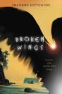 Broken Wings - Preview