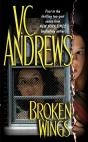 Broken Wings - Preview