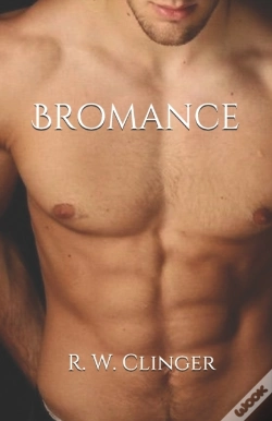 Capa do artigo Bromance