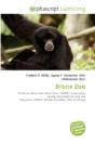 Bronx Zoo - Preview