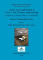 Bronze Age Field System At Tower'S Fen, Thorney, Peterborough - Preview