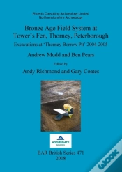 Capa do artigo Bronze Age Field System At Tower