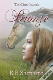 Capa do artigo Bronze